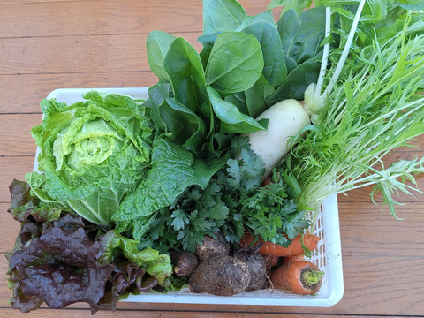 【農薬化学肥料不使用】旬の野菜セット(80サイズ5-6品)