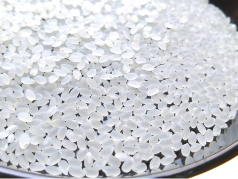 【セット商品】魚沼産コシヒカリとミルキークイーン精米　各5Kg　詰め合わせ