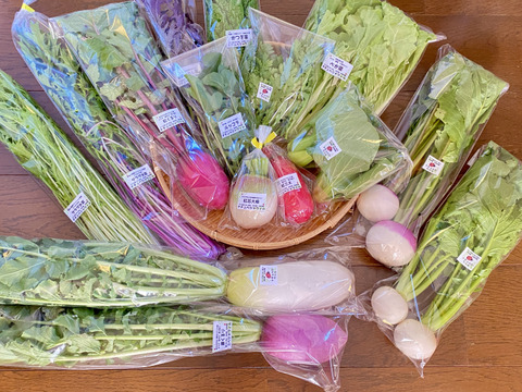 【はこぽす対応商品】 自然栽培🍀100サイズ】お野菜大好き家族のための旬菜セットL【7 野菜