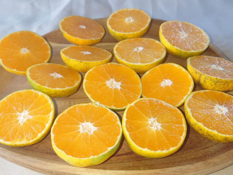 家庭用【自然栽培】クリスマスやお正月に最適　食べやすい甘さ 食べ出したら止まらない 早生みかん（5K）