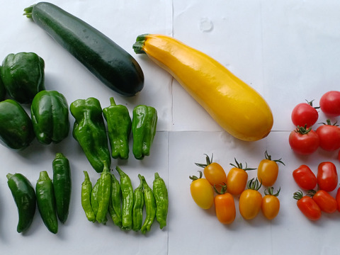 【お試し】北海道産　旬の夏野菜セット1.2Kg(4～5品目)