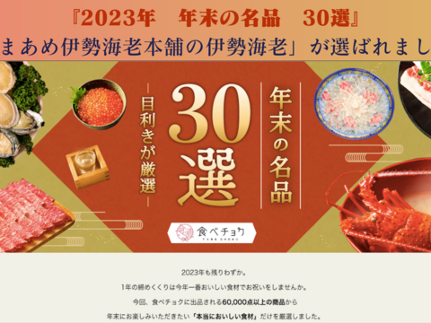 【長崎・五島列島直送】天然 活伊勢海老1kg（2〜4尾）離島の綺麗な海が育んだ「うまみと甘み」 漁師直送の鮮度をご家庭に