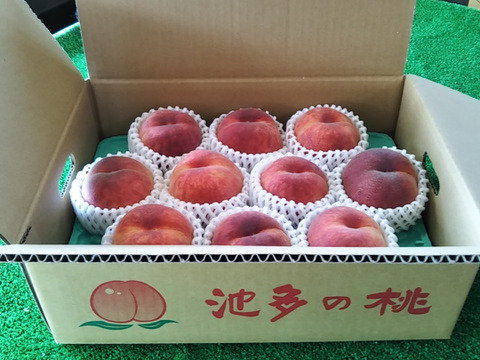 【夏ギフト】なつおとめ池多桃（10・9・8・7玉）