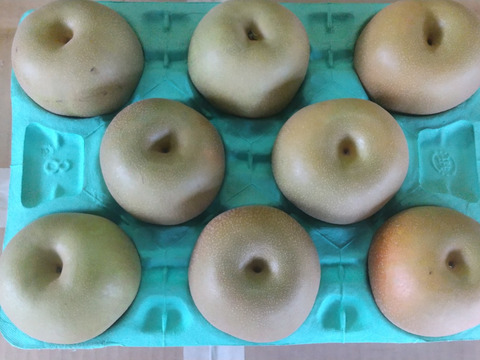 【贈答用にも◎】幸水 3kg 4Lサイズ(8玉入)