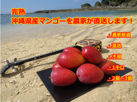 【予約】【6月中発送_贈答用】沖縄産マンゴー1キロ（2～3個入り）木箱入り