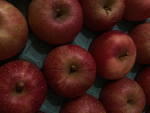 【王道サンふじ】　5㎏　13～20玉　本場青森りんご　農家直送　元気なりんご