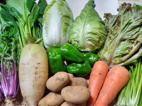 【10日分の野菜！】旬の野菜セット９～１１品【農薬・化学肥料不使用】