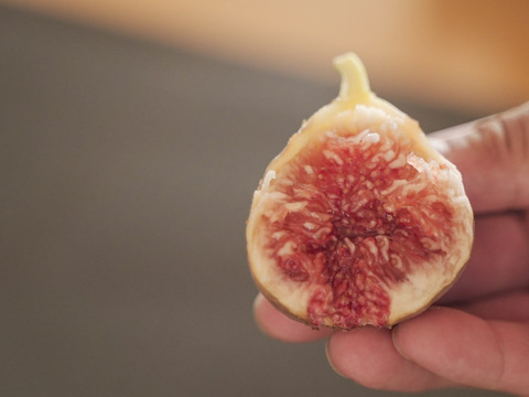 美容効果抜群！『はざまいちじく』(12個入り)