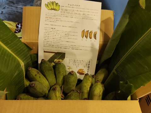 安心・安全！ナムワバナナ 2~ 4房・計３kg