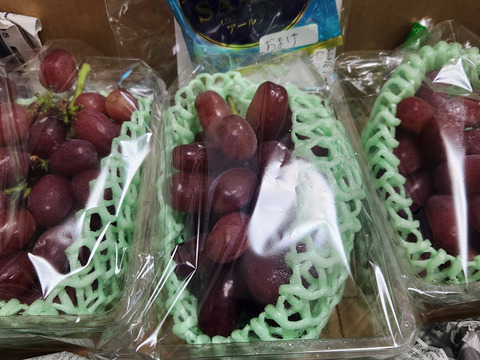 高級希少品種クイーンセブン❗️900g〜1000g【4〜5房】種無しパリパリ食感✨