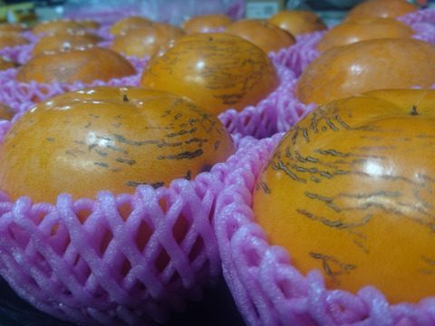 太秋柿大玉❗8玉入り4Ｌサイズ　3.5k箱
食味も食感も抜群です。
福岡県久留米市田主丸産