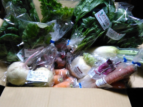 旬のお野菜詰め合わせBOX Lサイズ /基本5品目 + 3品以上