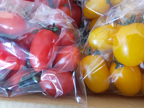 毎食トマト！バクバク食べちゃう栄ちゃんトマト　中くらいサイズ2キロ入り