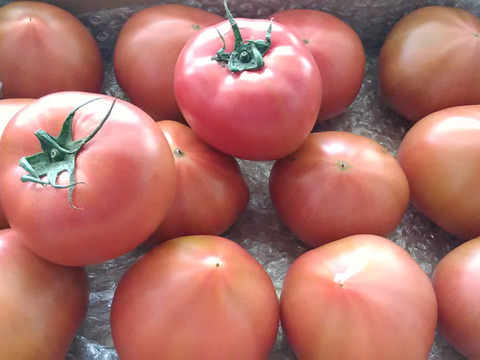 昔ながらのトマト🍅80サイズ箱詰め(M玉)