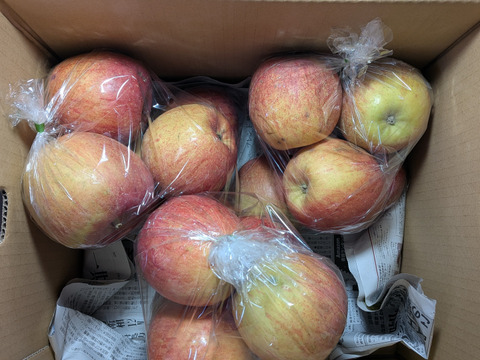 ふじリンゴ家庭用