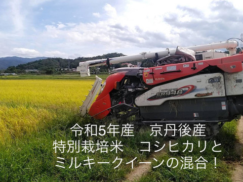 【新米】♣️一度食べてみてほしいお米　麻奈為🌾　京丹後峰山産　特別栽培米コシヒカリ６㎏とミルキークイーン３㎏　【玄米9㎏混合】　(希望者精米無料）