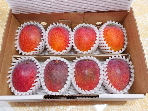 21. マンゴー 3kg ミニマンゴー 1kg 家庭用 傷黒点あり 楽天市場】奄美大島産 ミニマンゴー 約1kg 小玉 C品 ご家庭用