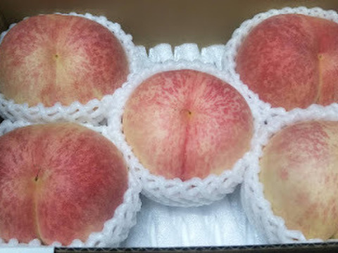 家庭用もも【金山】「硬い桃好きな人この指と～まれ(笑)」１．５ｋｇ前後（３～９玉前後）