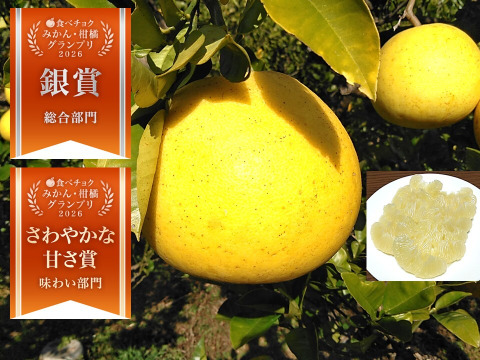 🏆柑橘グランプリ銀賞受賞　土佐文旦　化学合成農薬栽培期間中不使用　大玉　家庭用　4～5個　黄色いしあわせ®　高知県土佐市産　皮むき器付き　※北海道への配送はできません　２０２７年１月下旬発送