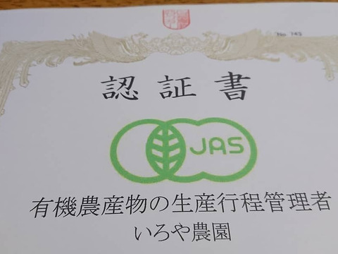有機JAS【自然薯　夢とろろ】（500g）