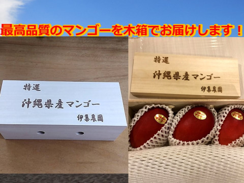 【予約】【6月中発送_贈答用】沖縄産マンゴー1キロ（2～3個入り）木箱入り