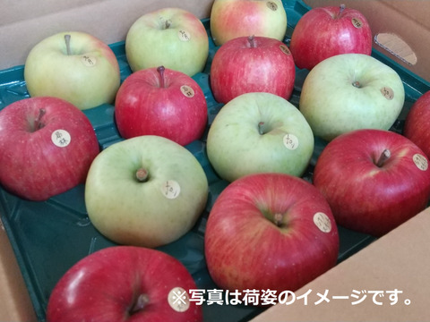 【予約販売・限定10セット】稀少種ゴールデンメロン入り！余市産りんご食べ比べ(*^^*)♪4種セット(贈答用  5kg)