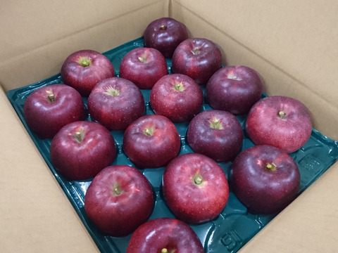 朝採り直送！黒く輝く人気の秋映（あきばえ）家庭用10kg