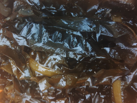 【生のまま冷凍】のワカメ！５ｋｇ（1ｋｇ入真空パック袋×５個）わかめ  味噌汁に サラダに 塩蔵は嫌いな方におススメです。松島牡蠣屋 分量あり