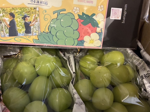 秋の味覚といったら！朝採れ直送シャインマスカット（600g×2房入り