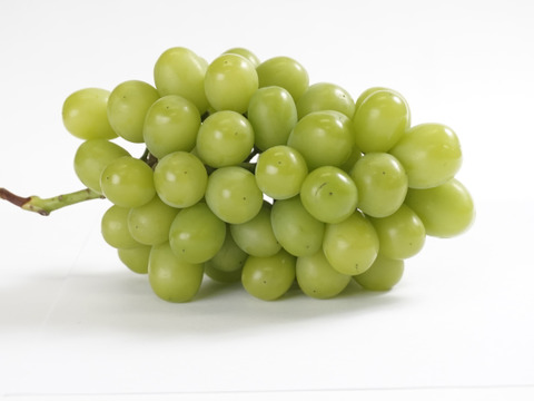 樹上完熟！岡山県備前市産びぜん葡萄【シャインマスカット】約1kg（2房前後）