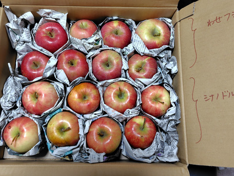 季節のリンゴ食べくらべ　訳あり家庭用（約4.5㎏）10～20玉
サンふじ、ぐんま名月など、2種類からお届け　
大きさ、形やキズなどで贈答用になれなかったりんごたちをバラ詰めで　信州長野県産