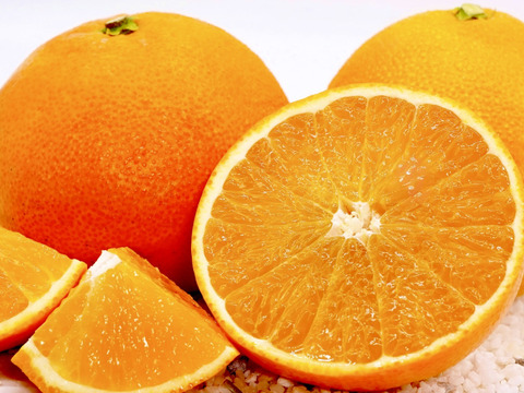 【食べチョク5周年目・感謝価格】まどんな 5kg×2箱【冬ギフト】【愛媛県産】