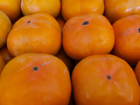 シャキシャキ食感！豊橋特産次郎柿(大玉１２個)家庭用 数量限定