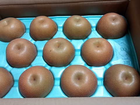 【ご予約品】絶妙な見極め！甘くなるまで待った豊水(5kg) 【贈答用】