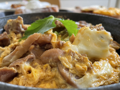 🐣生食で1ヶ月保ちます🐣平飼いごちそう卵【あかねの虜】Lサイズ（20個入） 28歳2児の母がプロデュースする話題の卵【👑大手検索サイト「福岡 卵」表示ランキング１位の農場です👑】