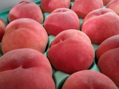おどろき3kg🍑追加再販！！贈答用🍑希少種&激レア桃🍑【朝どれ