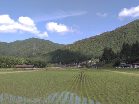 農薬不使用　米粉　6.3kg【900g✕7個】 ＋【玄米餅】約800g【20個前後】