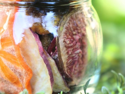 SUGAOヨーグリアセット〜ぶどう３種コンポートとドライフルーツMIX〜