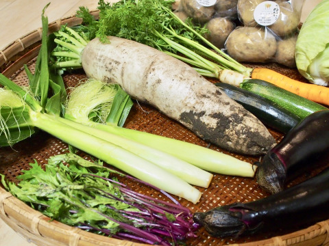 農薬化学肥料除草剤不使用 加賀の大地で育った旬の野菜直送box 6 8品目