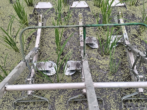 【新米】農薬化学肥料不使用　信州伊那谷★コシヒカリ(白米)2025年産・10㎏