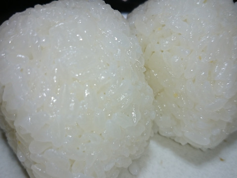 【味に自信あり】もっちもちのミルキー舞（5㎏）令和3年産