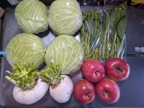 キャベツ、カブ、アスパラ菜、リンゴ