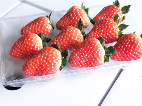 特選いちご３種食べ比べセット　８～１１玉入り約２７０g×３パック　【化粧箱でお届けします】