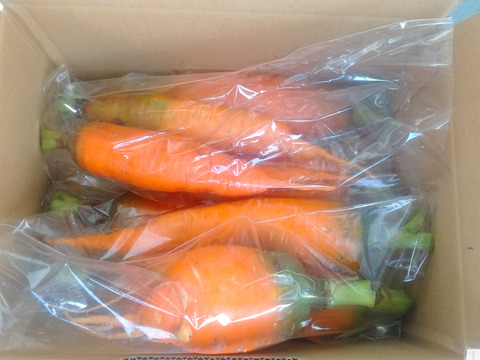 訳あり、自然栽培の人参2kg