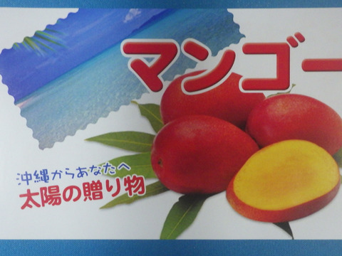 今帰仁産マンゴー　家庭用 果汁たっぷり！今帰仁産マンゴー（ご家庭用・1kg）：沖縄県産の
