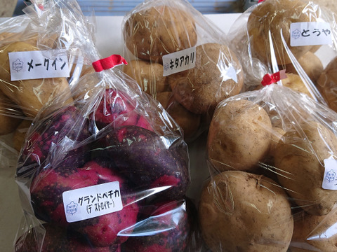 北海道蘭越産じゃがいも　食べ比べ5種類セット(各800g5種類☓各２袋）