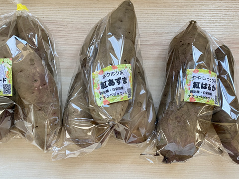 【自然栽培🍠熟成サツマイモ厳選３品種約2.1Kg】人気品種あずま・はるか・パープルの食べ比べセット・焼き芋にオススメ！