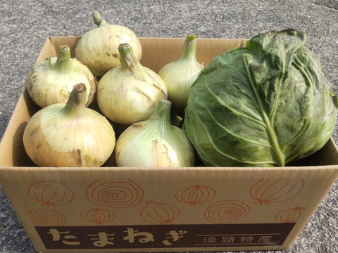クール便《数量限定》淡路島産の甘くて美味しい新玉ねぎ3kg とグリーンボール詰め合わせ