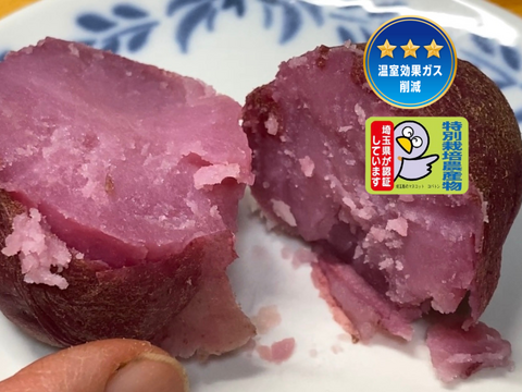 12月から販売予定【自然栽培🍀ノーザンルビー1kg】皮も中も綺麗なピンク色🩷お料理の彩りに
