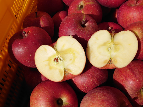 お試しパック！無添加りんごチップス40ｇ×3袋